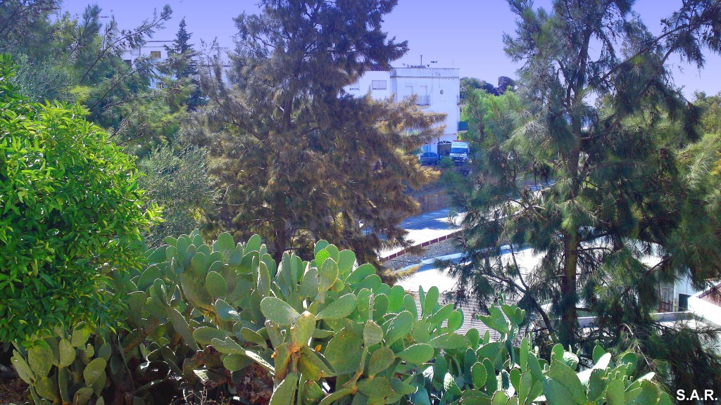 Foto: Calle Constitución - Alcala De Los Gazules (Cádiz), España