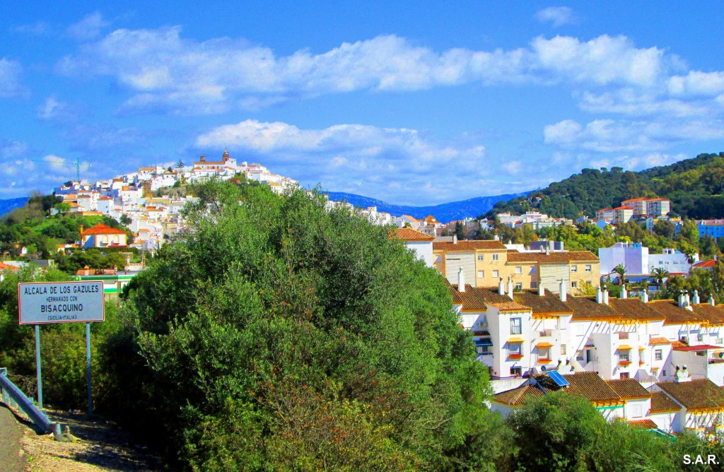 Foto: Desde la carretera - Alcala De Los Gazules (Cádiz), España