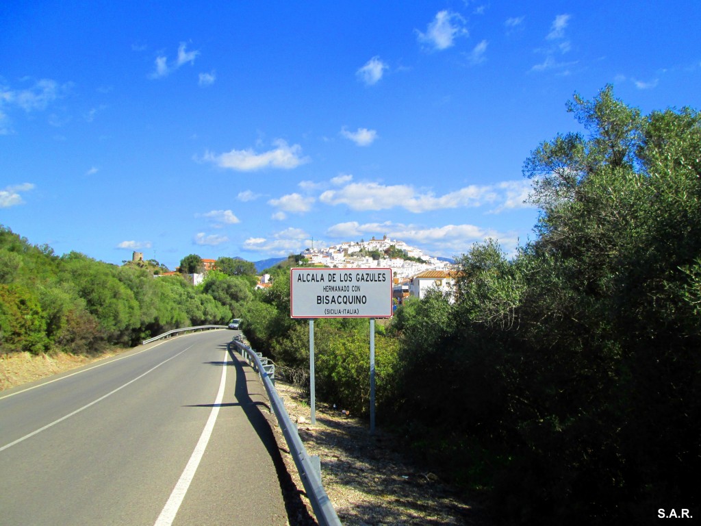 Foto: Carretera llegada a Alcala - Alcala De Los Gazules (Cádiz), España
