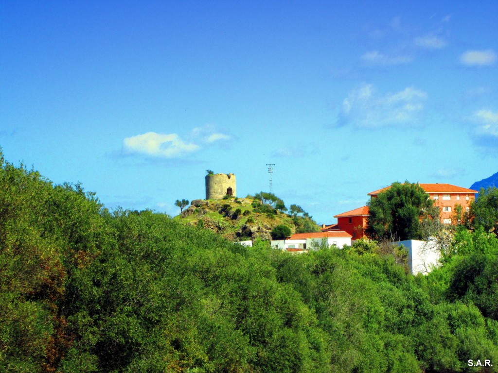 Foto: Al fondo el castillo - Alcala De Los Gazules (Cádiz), España