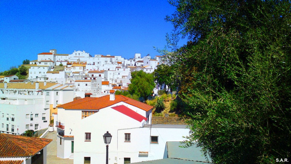 Foto: Belleza - Alcala De Los Gazules (Cádiz), España