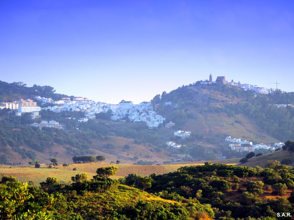 Foto: Vista de Alcala - Alcala De Los Gazules (Cádiz), España