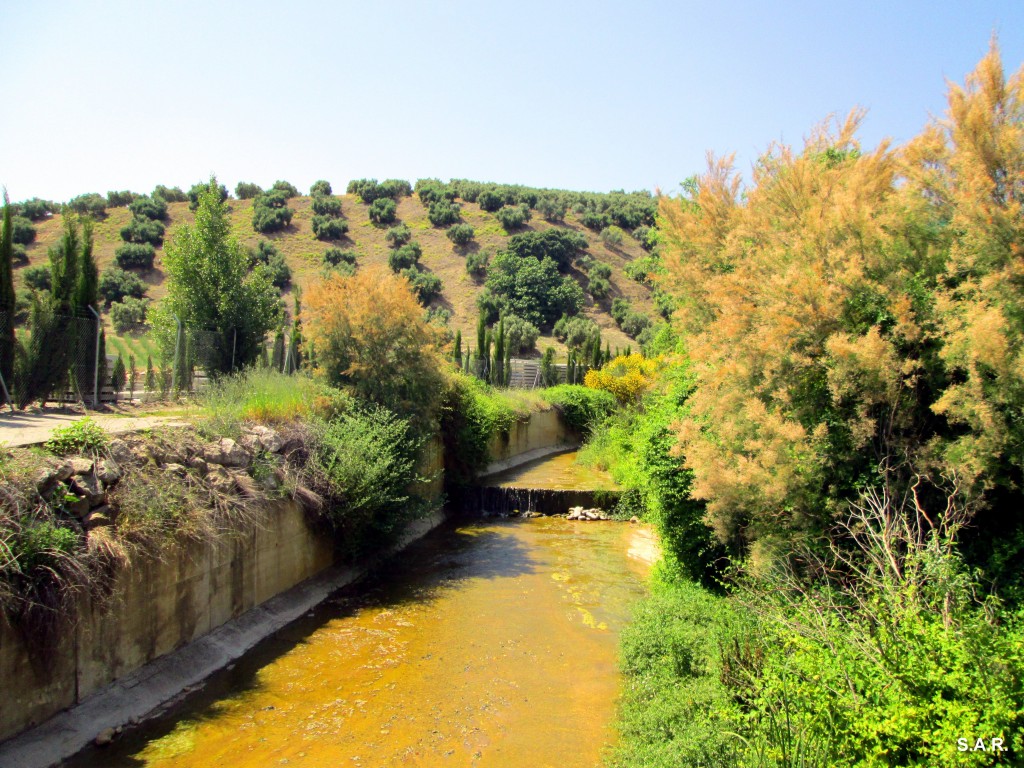 Foto: Arroyo Lechar - Alcala Del Valle (Cádiz), España