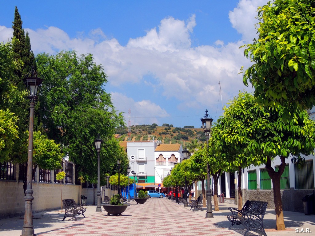 Foto: Calle Vicente Alexandre - Alcala Del Valle (Cádiz), España