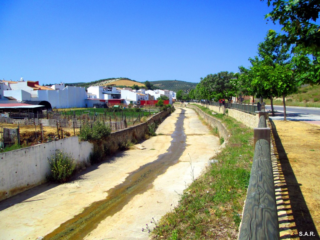 Foto: Arroyo los Molinos - Alcala Del Valle (Cádiz), España
