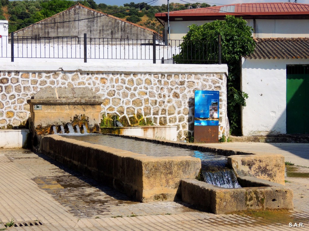 Foto: Fuente los Cinco Caños - Alcala Del Valle (Cádiz), España