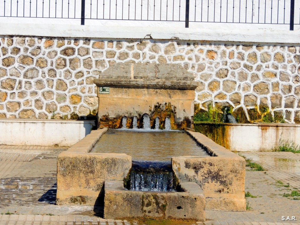 Foto: Fuente los Cinco Caños - Alcala Del Valle (Cádiz), España