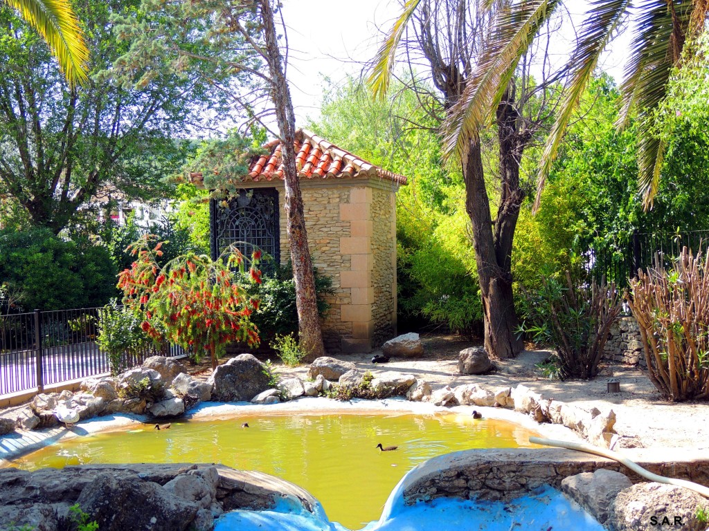 Foto: Estanque de los patos - Alcala Del Valle (Cádiz), España