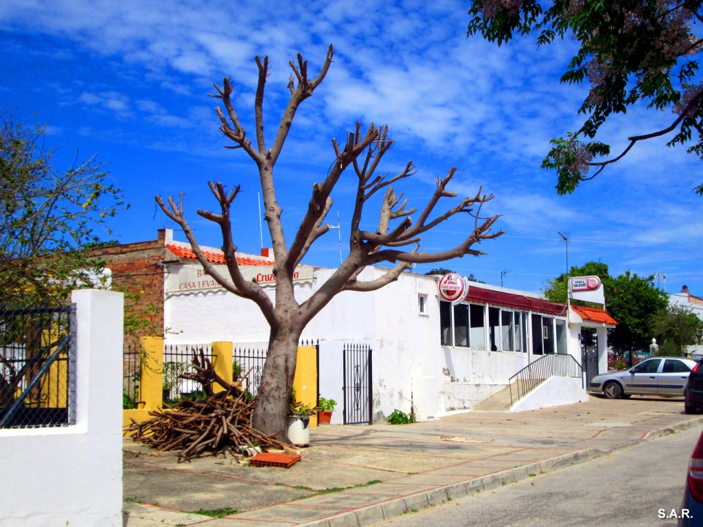 Foto: Venta Casa Levante - Alcornocalejo (Cádiz), España