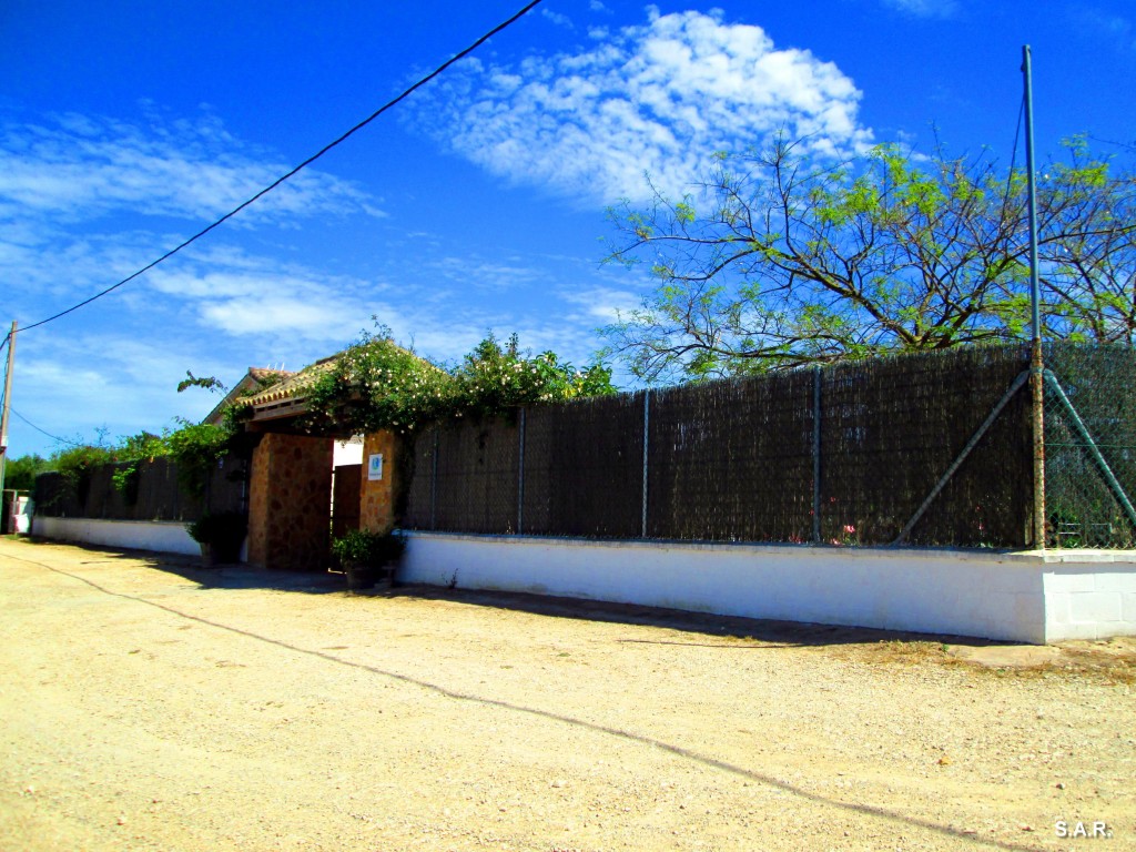 Foto: Casa Rural El Campito - Alcornocalejo (Cádiz), España