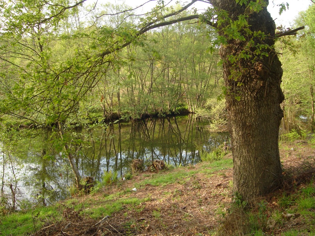 Foto de Cercedo (Pontevedra), España