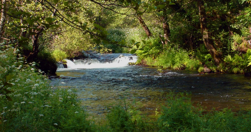 Foto de Cercedo (Pontevedra), España