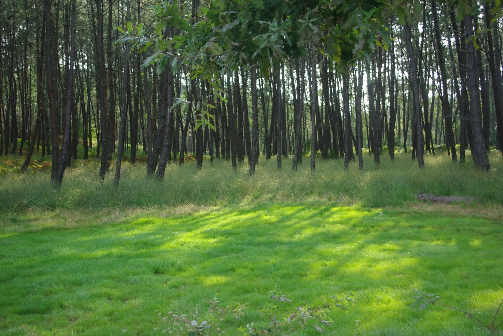 Foto de Valga (Pontevedra), España