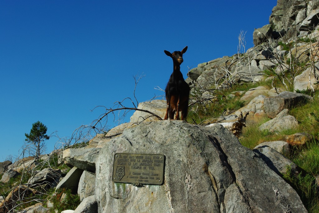 Foto de Gondomar (Pontevedra), España