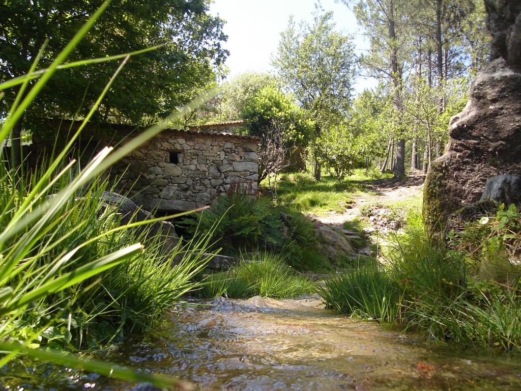 Foto de O Rosal (Pontevedra), España