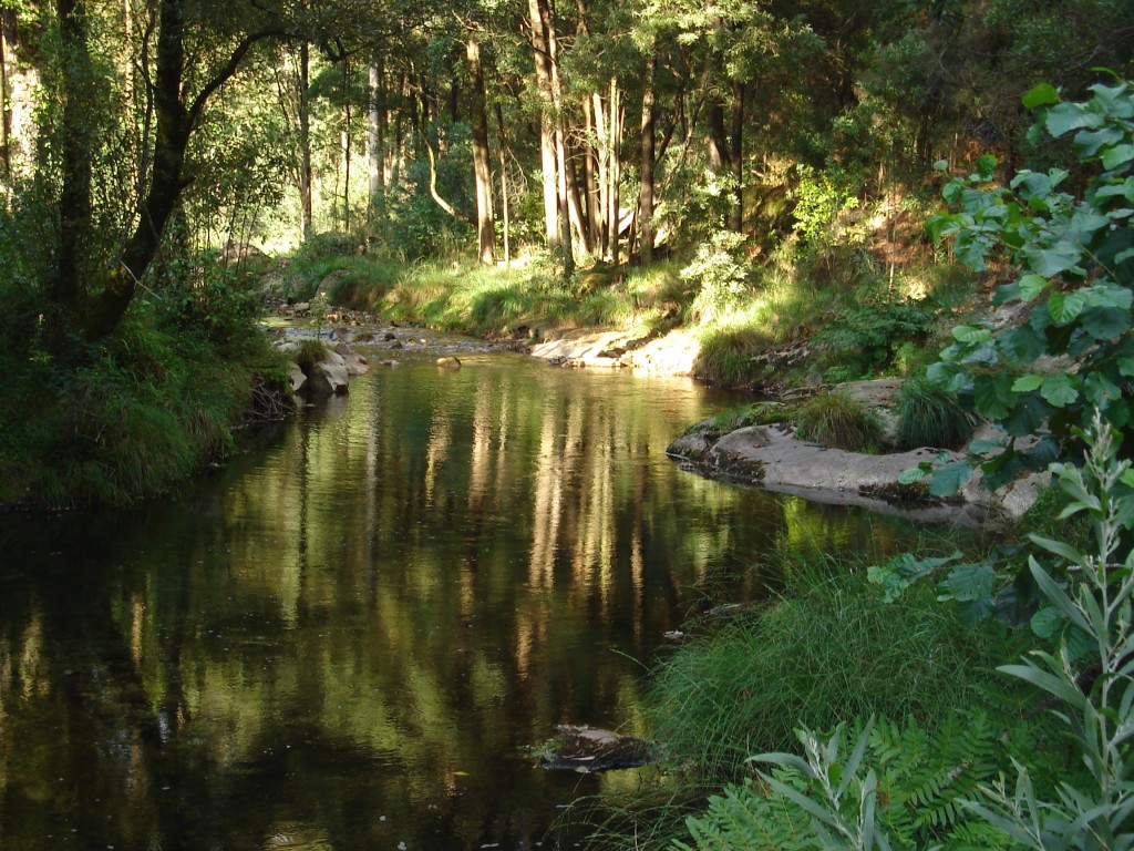 Foto de Oia (Pontevedra), España