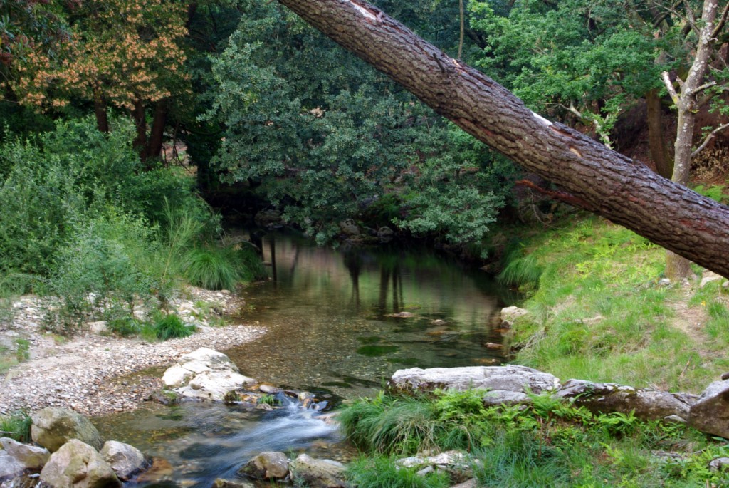 Foto de Oia (Pontevedra), España