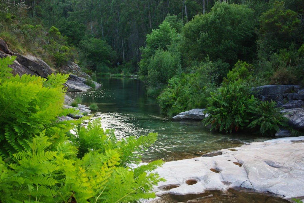 Foto de Oia (Pontevedra), España