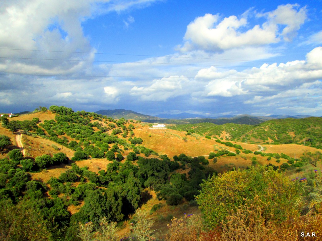 Foto: Desde la casa de Pedro - Algar (Cádiz), España