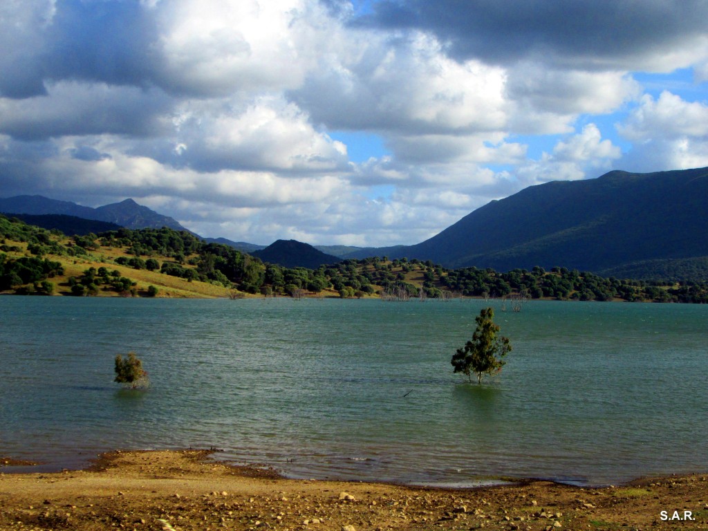 Foto de Algar (Cádiz), España