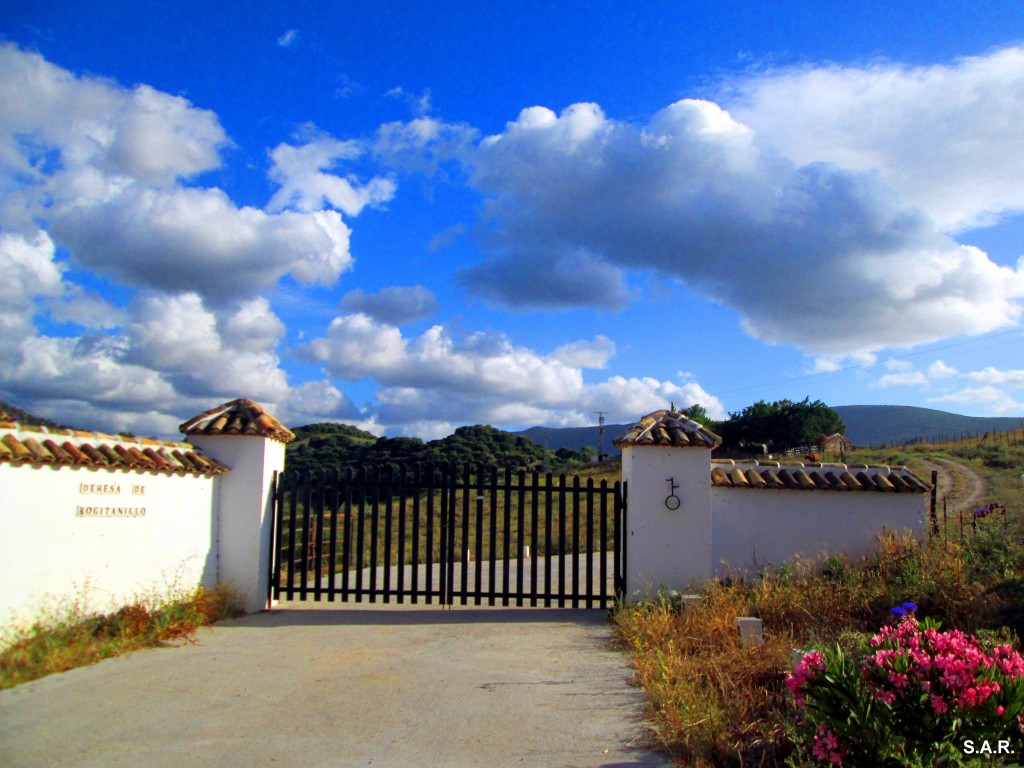 Foto: Entrada Dehesa Rogitanillo - Algar (Cádiz), España