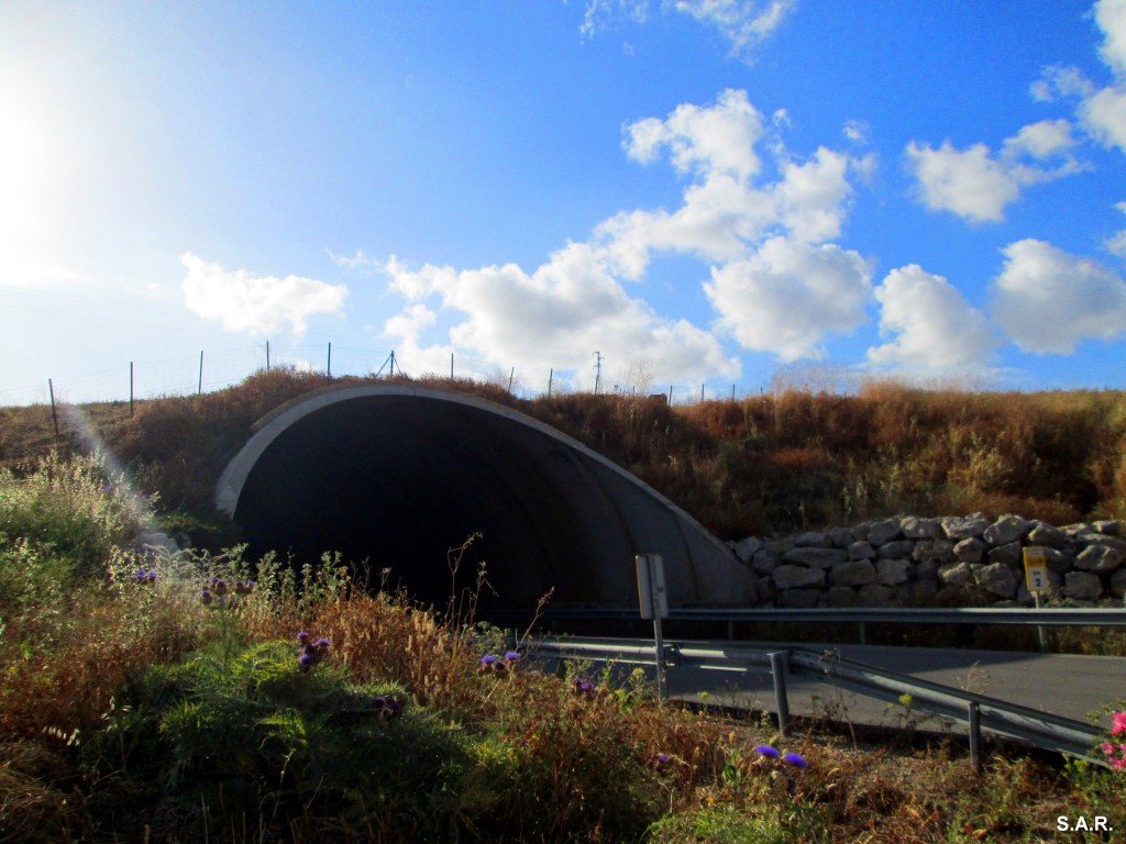 Foto: Entrada al tunel - Algar (Cádiz), España