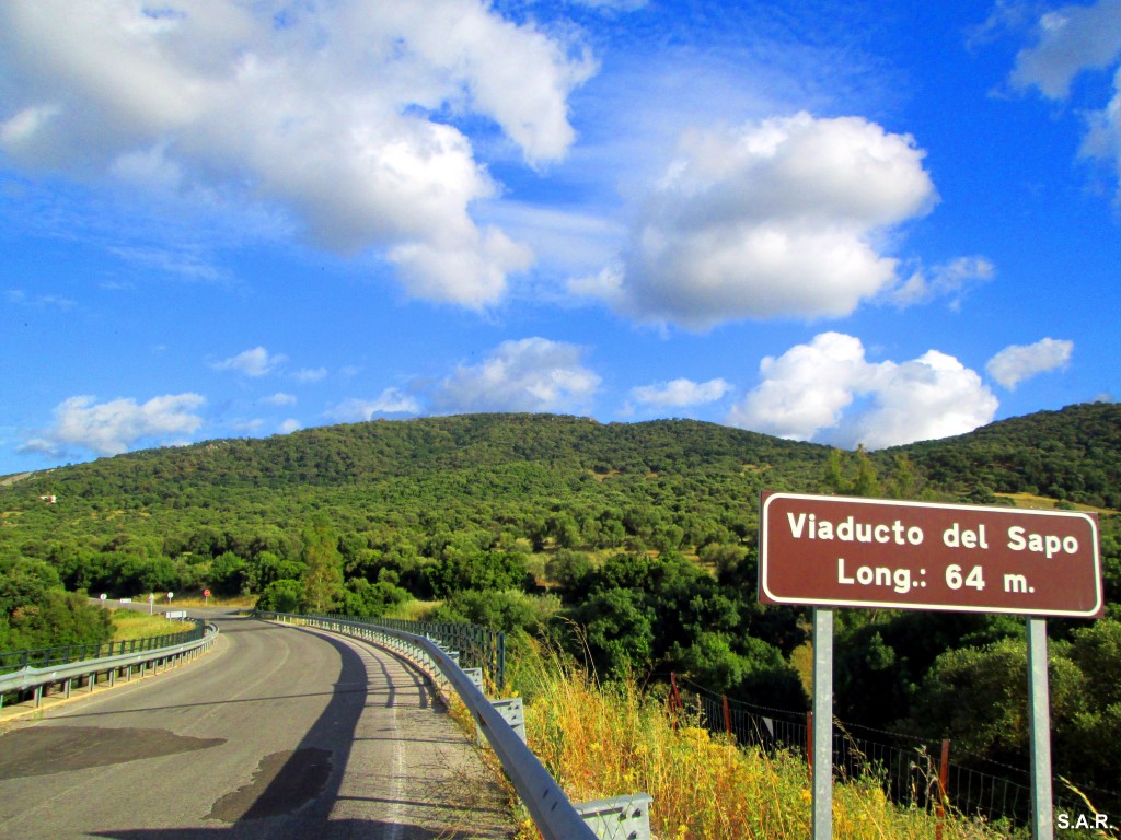 Foto: Viaducto del sapo - Algar (Cádiz), España