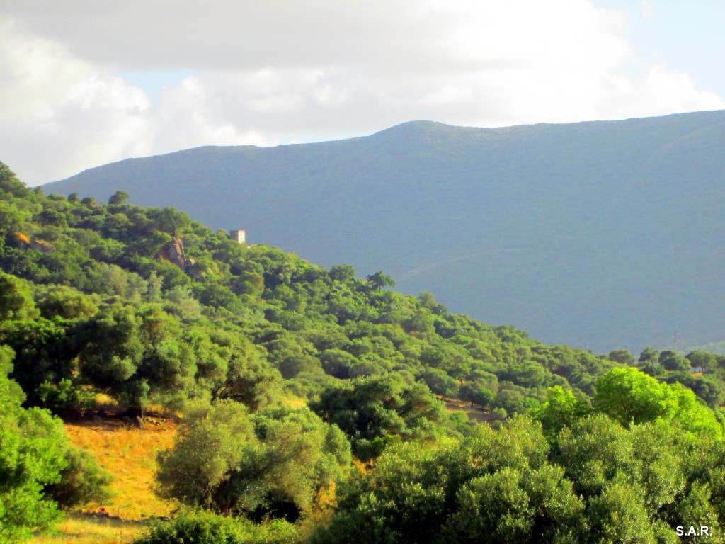 Foto: Caseta del Guarda Forestal - Algar (Cádiz), España