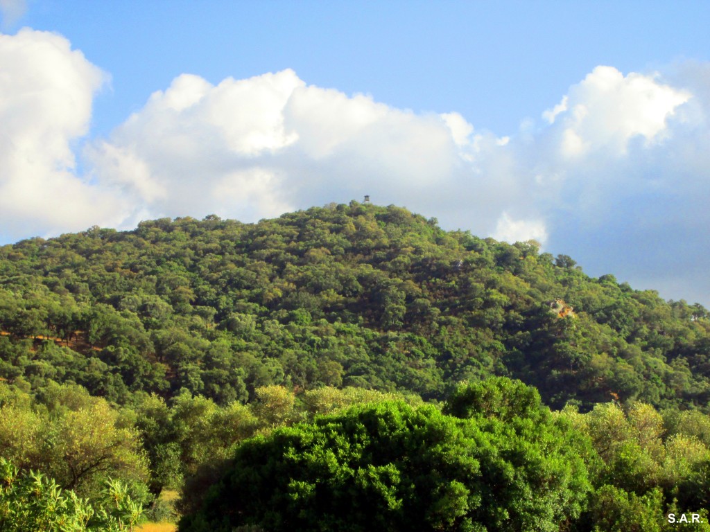 Foto: Punto de vigilancia contra incendios - Algar (Cádiz), España