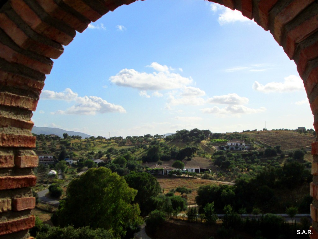Foto: La paciencia de Pedro Lobato - Algar (Cádiz), España
