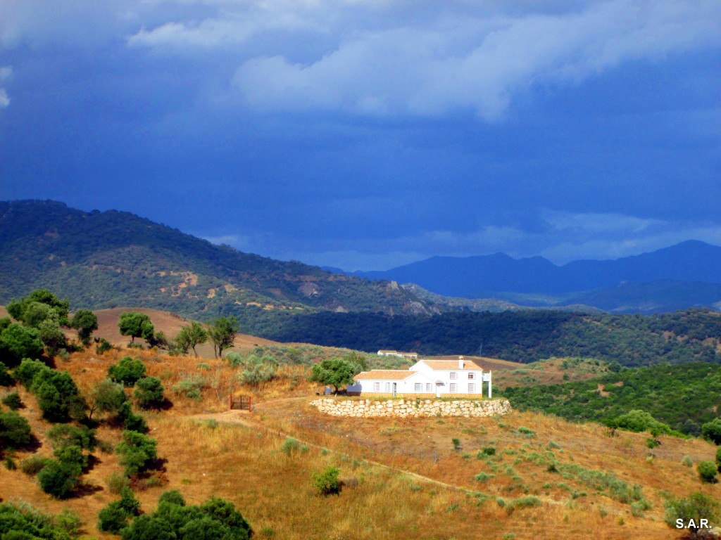 Foto: Cortijo en Algar - Algar (Cádiz), España