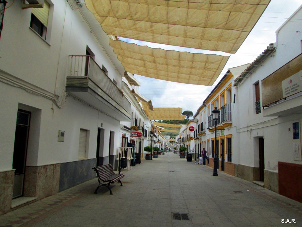 Foto: Bar Manolito - Algar (Cádiz), España
