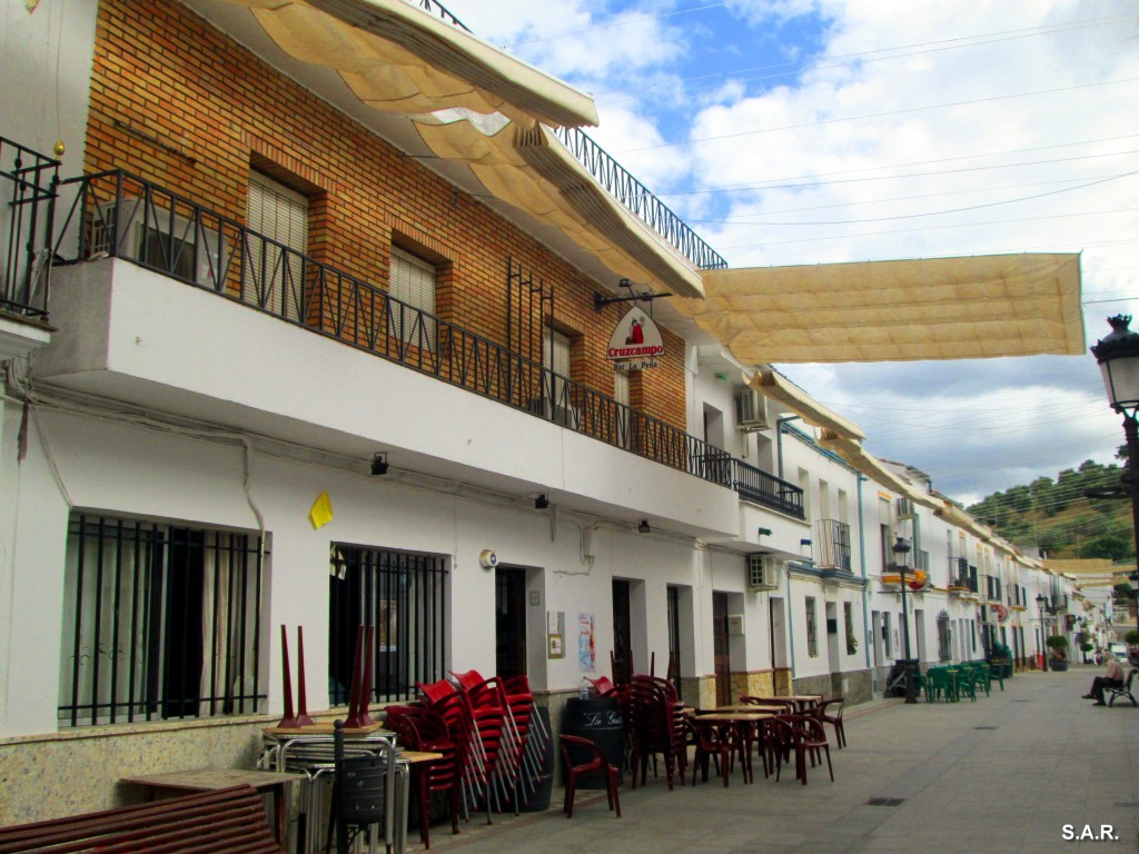 Foto: Bar la Peña - Algar (Cádiz), España