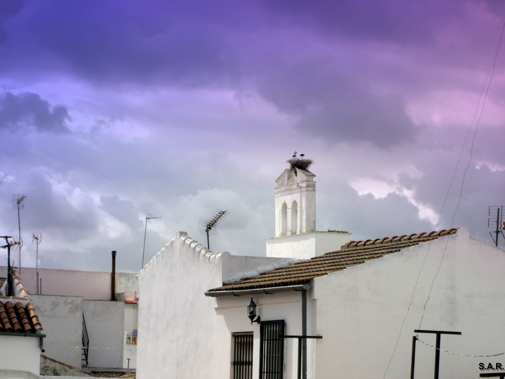 Foto: Campanario - Algar (Cádiz), España