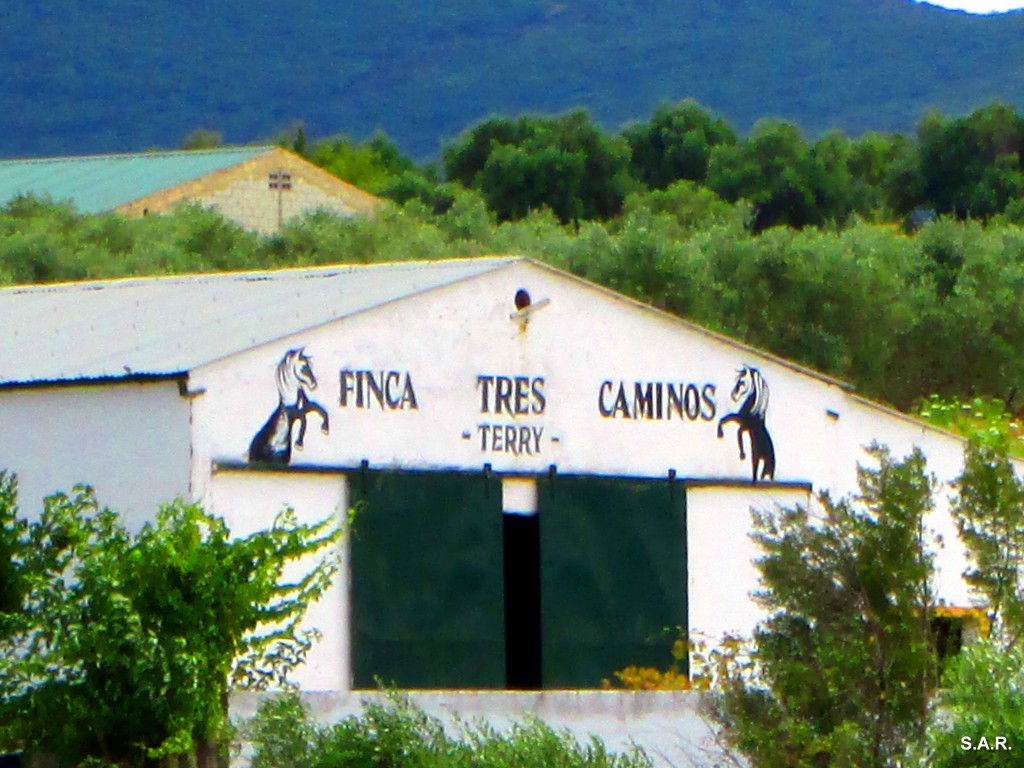 Foto: Finca Tres Caminos-Terry - Algar (Cádiz), España