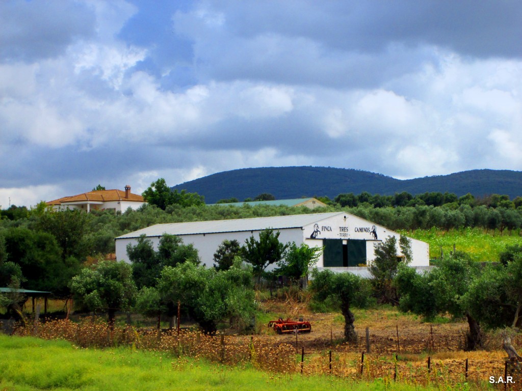 Foto: Finca Tres Camino-Terry - Algar (Cádiz), España