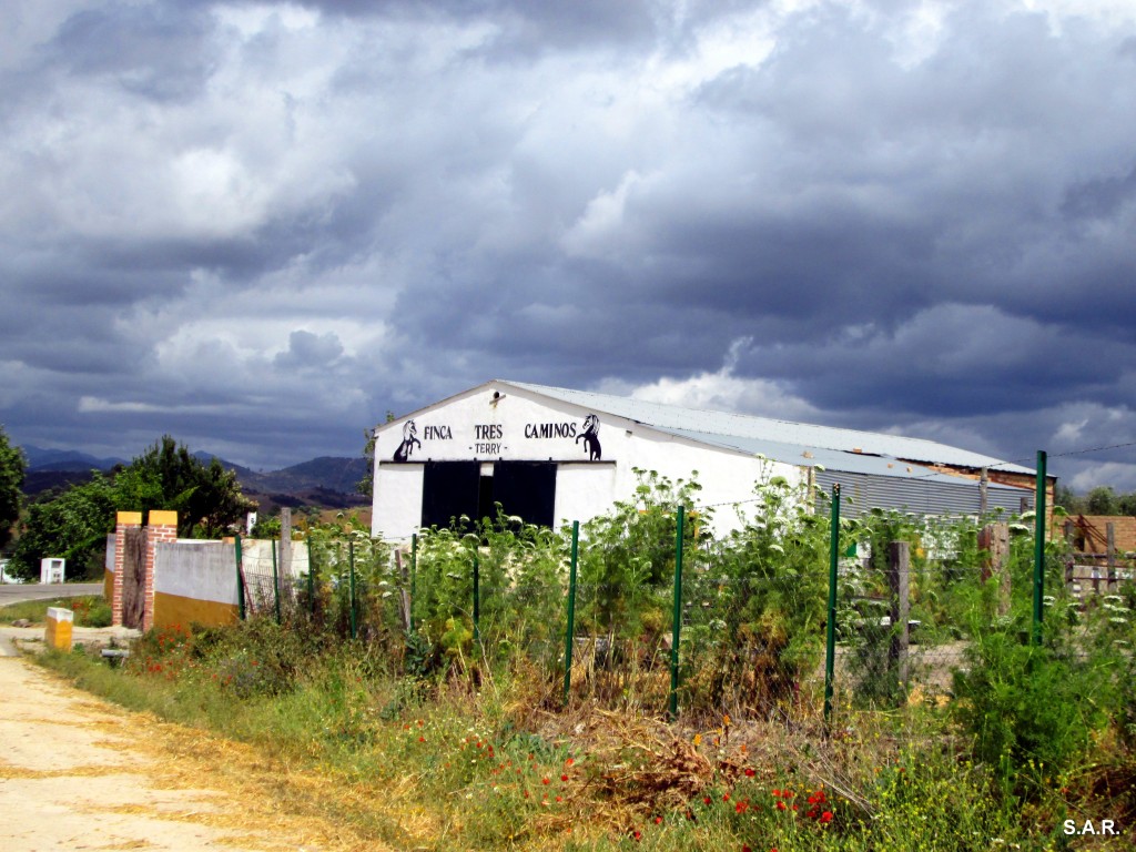 Foto: Finca Tres Caminos - Algar (Cádiz), España