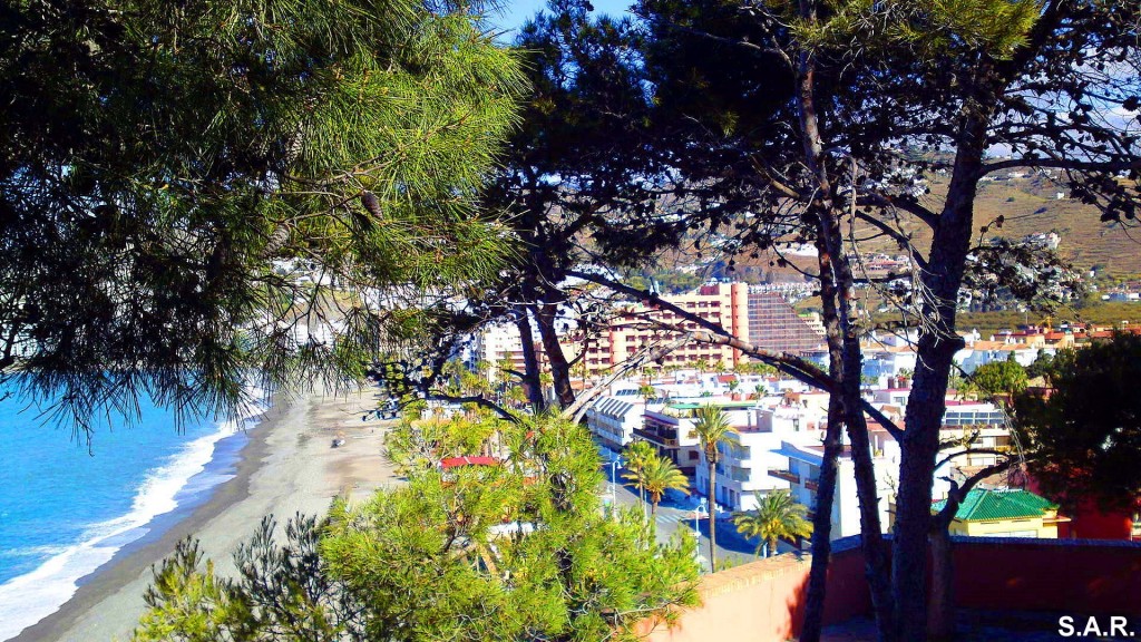 Foto: Entre pinos San Cristobal - Almuñecar (Granada), España