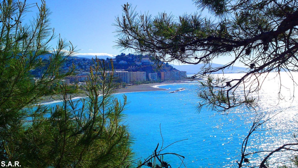 Foto: Belleza - Almuñecar (Granada), España