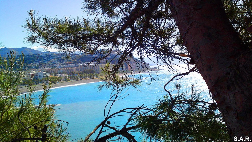 Foto: El Paraiso - Almuñecar (Granada), España