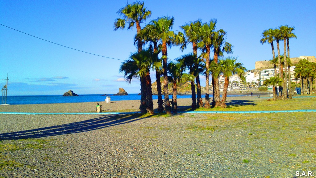 Foto: Tropical - Almuñecar (Granada), España