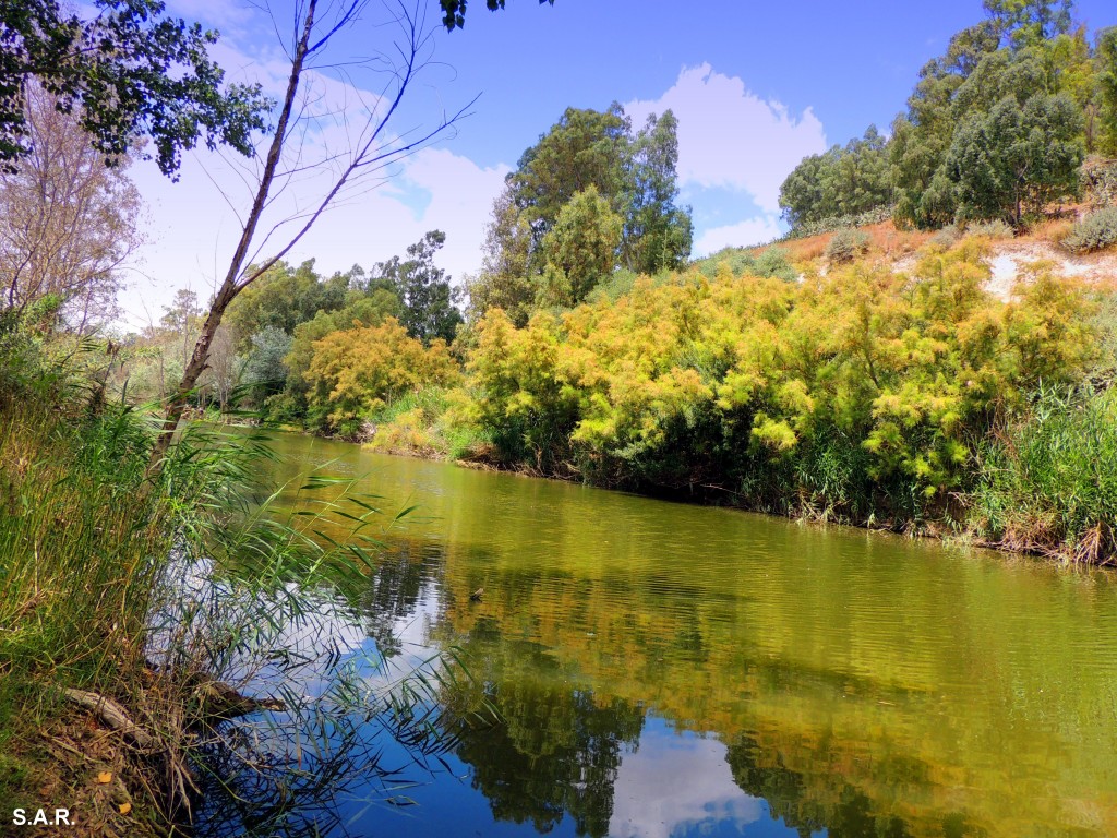 Foto: Río Guadalete - Arcos de la Frontera (Cádiz), España