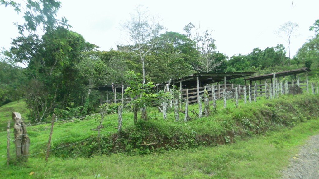 Foto: Barrios - Upala, Costa Rica