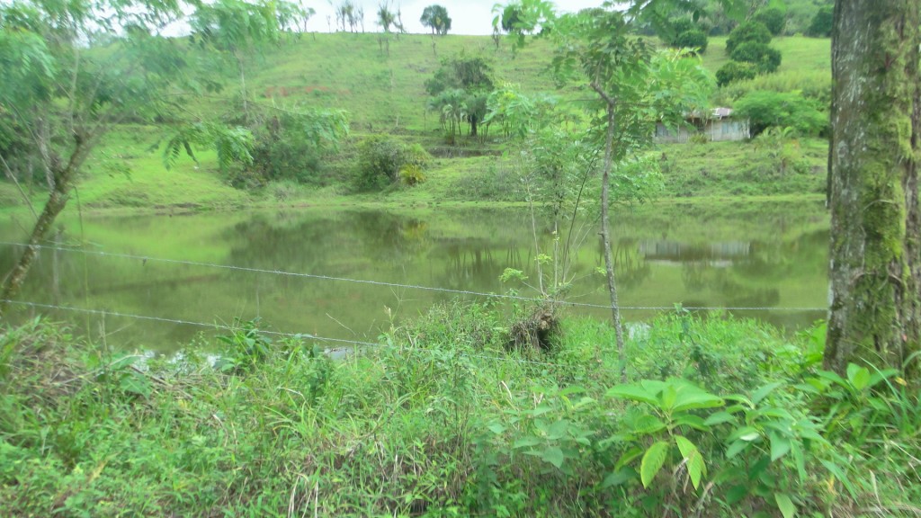 Foto: Barrios - Upala, Costa Rica