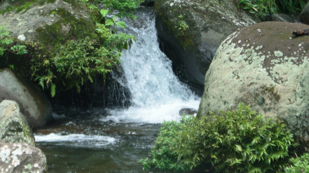 Foto: Barrios - Upala, Costa Rica