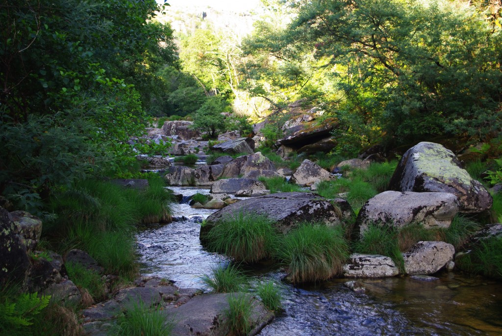 Foto de Pontecaldelas (Pontevedra), España