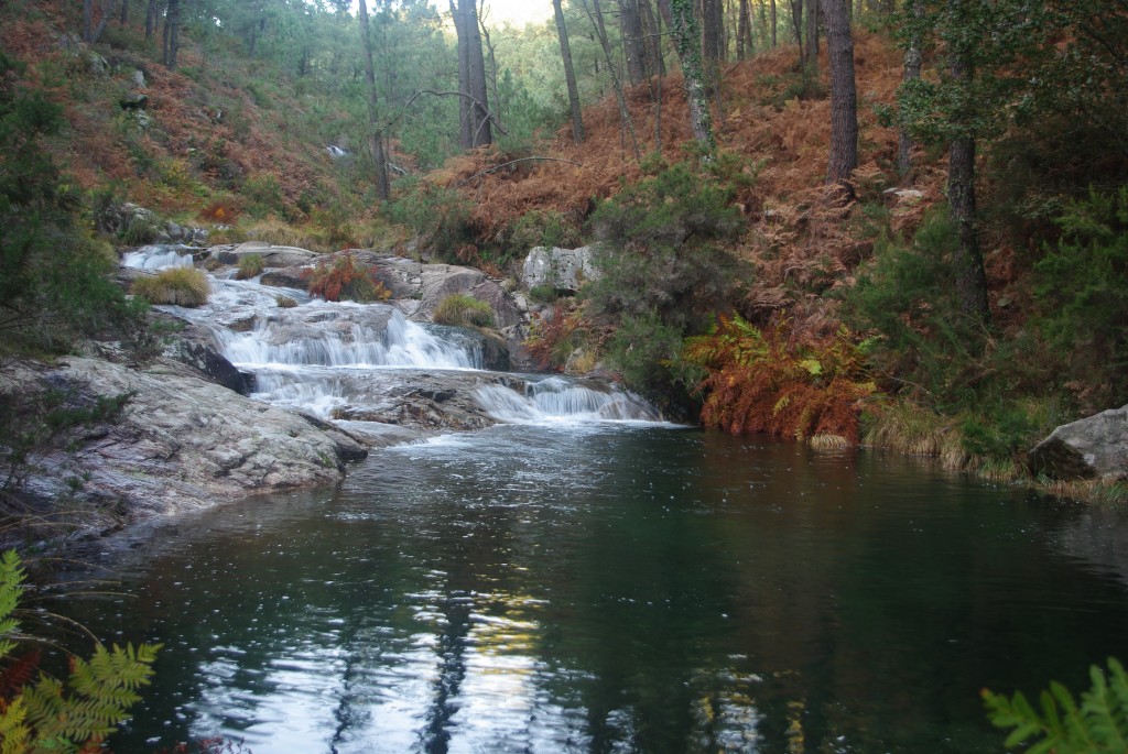 Foto de O Rosal (Pontevedra), España