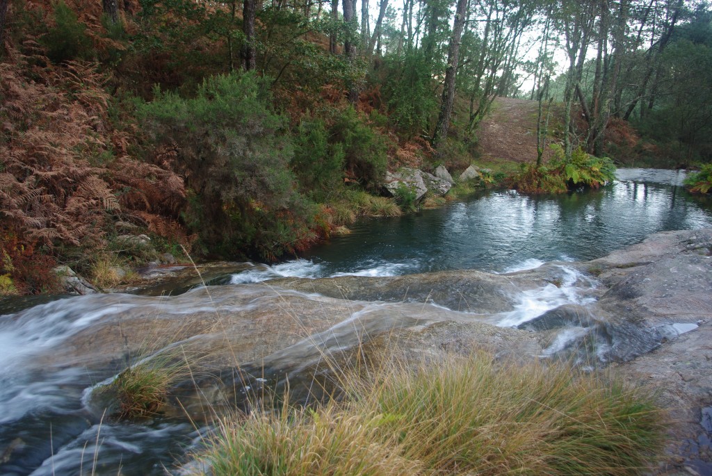 Foto de O Rosal (Pontevedra), España