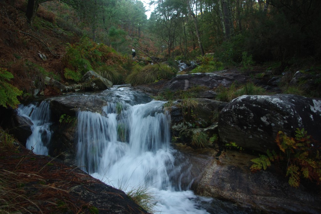 Foto de O Rosal (Pontevedra), España