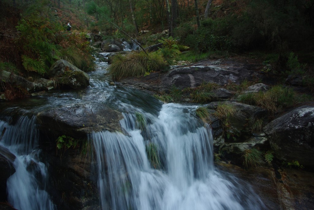 Foto de O Rosal (Pontevedra), España